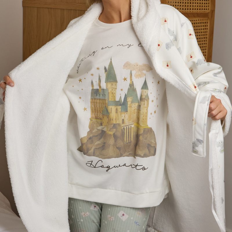 2000009123 Hogwarts Lounge Set