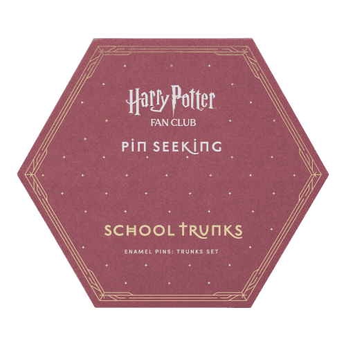 2000009381 BacktoHogwartsTrunks A