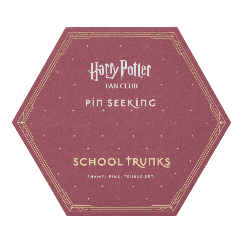 2000009381 BacktoHogwartsTrunks A