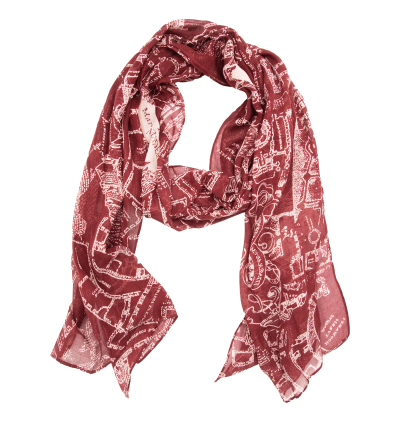 ChamberMap product Scarf1