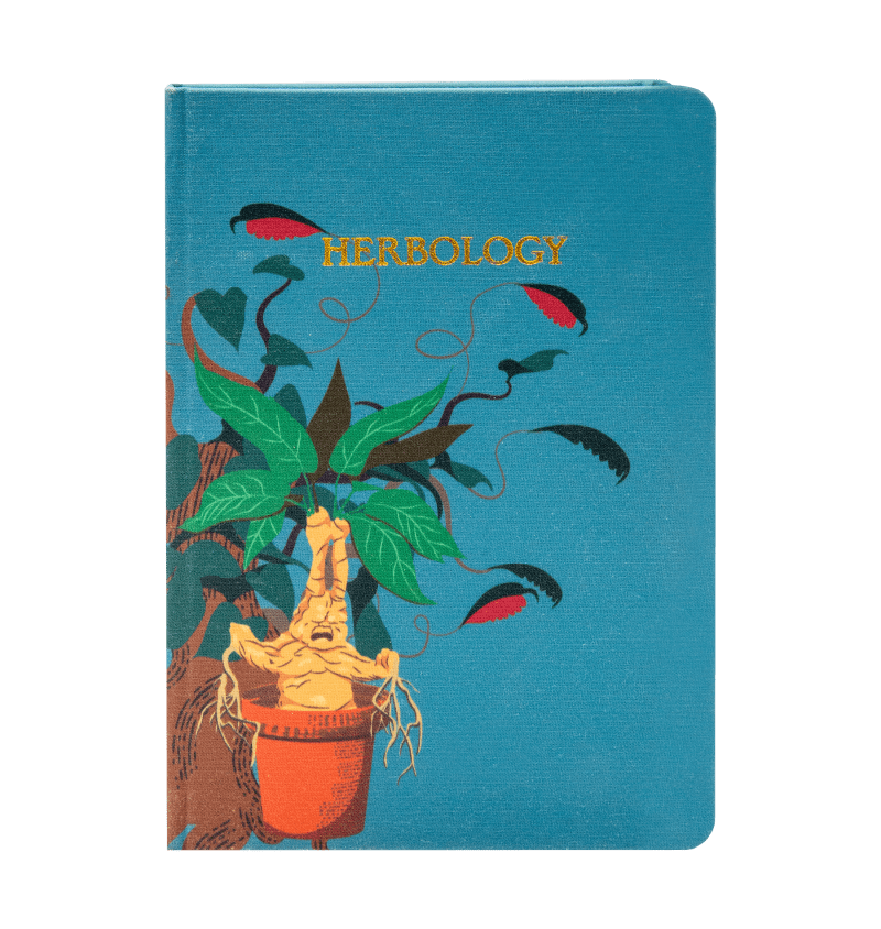 Classrooms Products HerbNotebook1