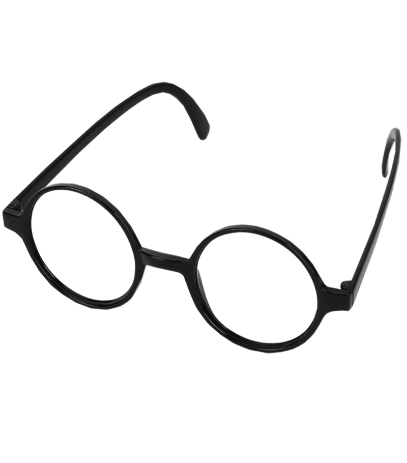 Harry Poster Costume glasses scaled