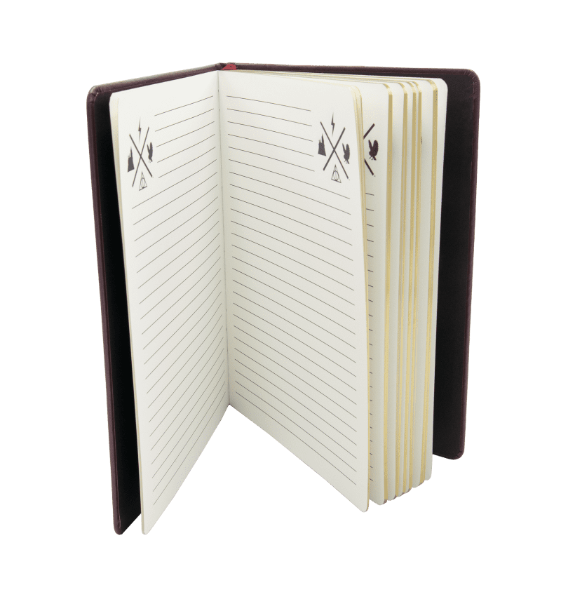 Iconic Gringotts Notebook2