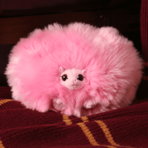 Pygmy Puff4