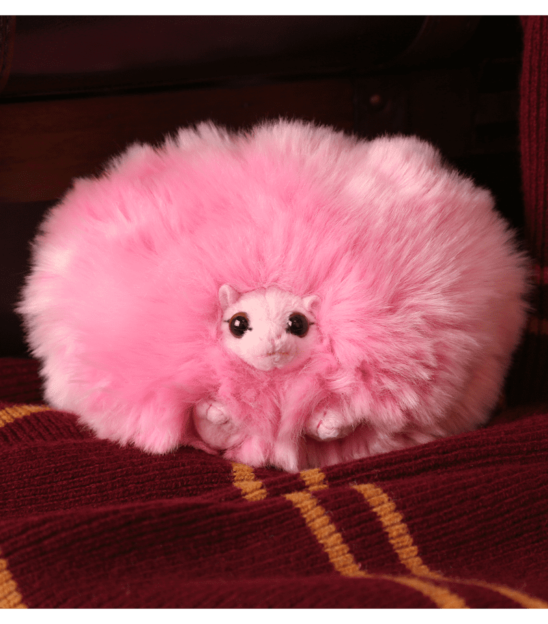 Pygmy Puff4