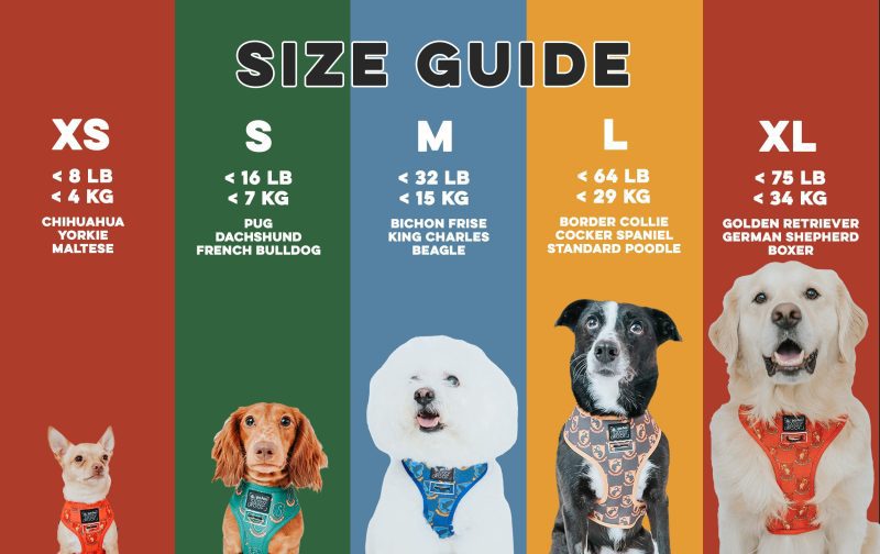 Sizing