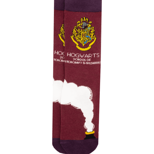 Travel Product Socks4