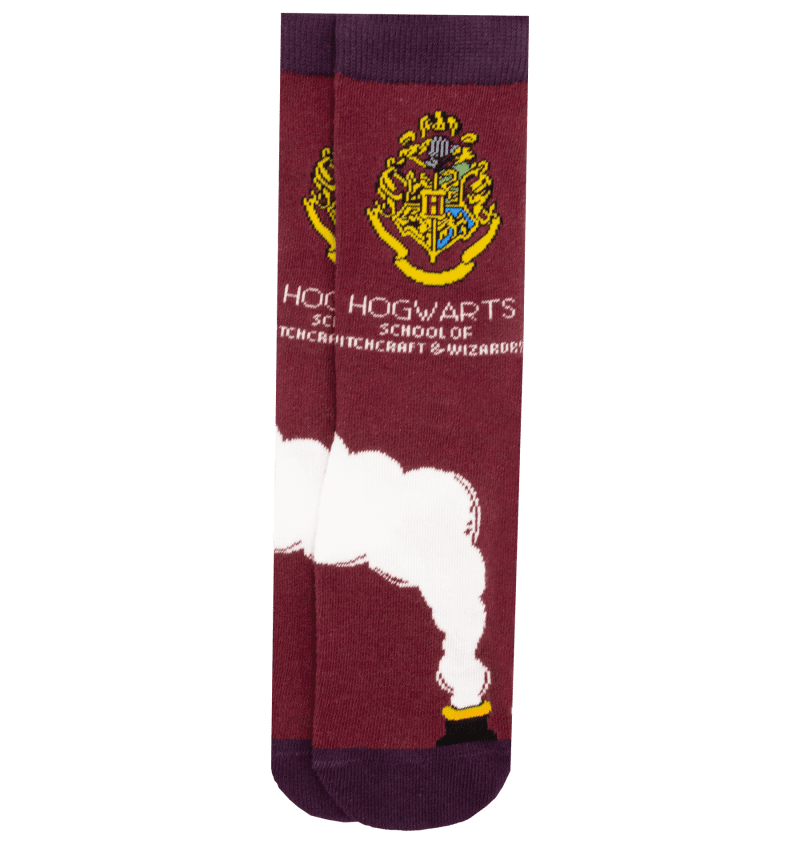 Travel Product Socks4