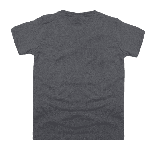 gray hog tee b